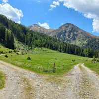 Pölsen Alm