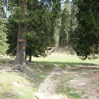 Almwiese nach dem Tal Rio della Malga