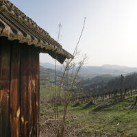 Rebhisli Ringelbach