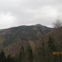 Übergang Hohenstein Abstieg zum Gscheid
