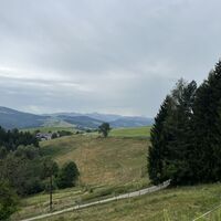 Retour dann auf dem schönen und knieschonenden Güterweg ins Kreisbachtal