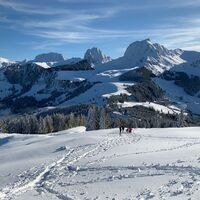 Schneeschuhtrail Selibüel-Panoramatrail