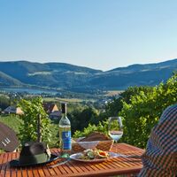 Buschenschankjause mit herrlichen Ausblick zum Stubenbergsee in der Oststeiermark