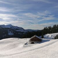Blick auf die Wildriesalpe im Winter