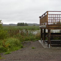 Siikalahden Aussichtsplattform