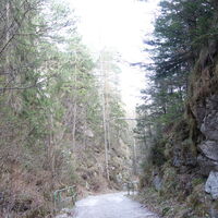 am Rückweg im Schoberbachtal