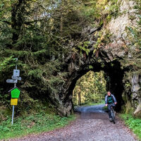 Felsentunnel im Murgtal