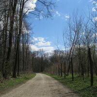 Nationalpark Donauauen