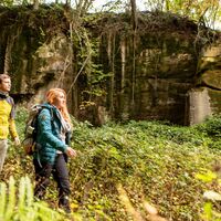 Der alte Steinbruch bei Heckendalheim