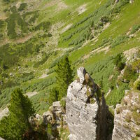 Blick ins Hühnerkar