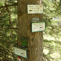 wohin des Weges?