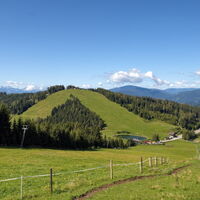 Auf der Simonhöhe