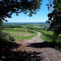 Fernsicht zwischen Bad Bergzabern und Pleisweiler