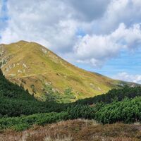 Blick auf das Blaseneck