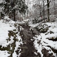 Die Pferde und Fußgänger (auch der heutige Wanderer) konnten sich an den offenbar behauenen Stufen behende weiterbewegen. Super is die Römerstraße!