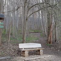 Wanderweg an der Scharfenburgpromenade in Ruhla/ OT Thal