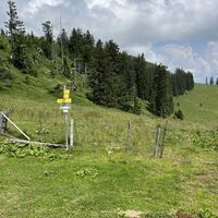 Abstieg zur Alm Siebenhütten