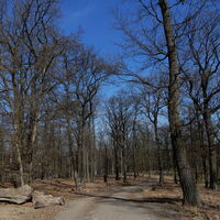 Hütteldorf - Lainzer Tiergarten - Liesing