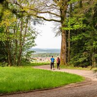 Komfortable Wanderwege bei Schwann