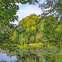 Mühlenteich in Kuhmühlen mit Wohnhaus
