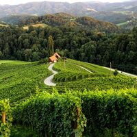 Herzerlstraße in der Südsteiermark