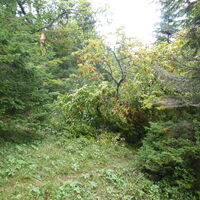 und muss umgangen werden