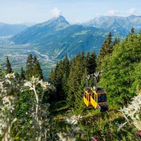 Seilbahn Älpli Malans