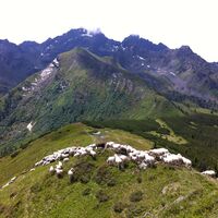 Blick auf Höchstein