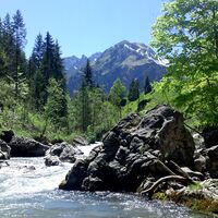 Auwald Breitach