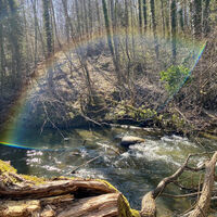 Naturschauspiel Seefelder Aach