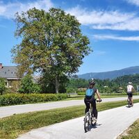 Auf dem Fahrrad-/Fußgängerweg in Bled