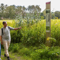 An den Magerwiesen in Datteln - Naturpark Hohe Mark