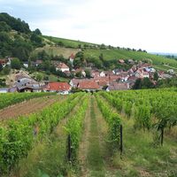 Richtung Madenburg mit Blick auf Leinsweiler