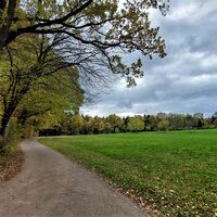 Bei Hohenwart geht aus dem Wald mal durch die Wiesen