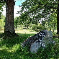 Die Trupbacher Heide bietet eine ungewöhnliche Natur und viele Aussichtspunkte zum Verweilen