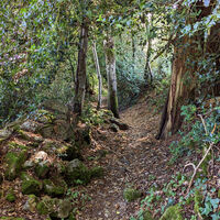 chemin du Paradis descente@service tourisme Pays Sostranien copie