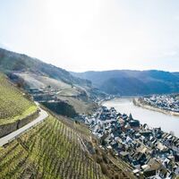 Weinberge bei Zell