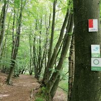 Wegemarkierungszeichen im Felsbachtal