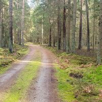 30.3 km Wald im Grenzland