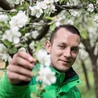 Apfelblüte im Granitztal