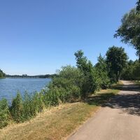 Auf dem Mosel-Radweg vor Konz