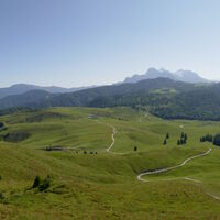 die riesige Kalksteinalm