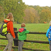 Wanderer an einem Feld vor dem Forst Franzhorn
