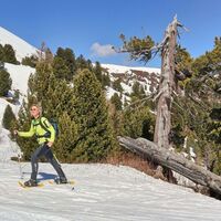 Wir verlassen den Wald