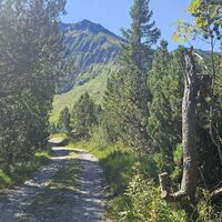 Tolle Landschaft um die Quelle des Luhbaches