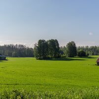 Landschaft