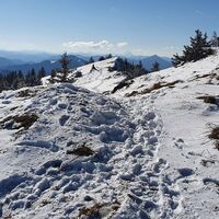 5.3 km 1. Kuppe am Kammweg