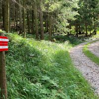 Losenstein-Hohe Dirn Trail