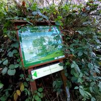 Infotafel Bienenlehrpfad_Naturpark Almenland_Oststeiermark