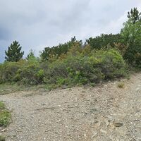 11.8 km Links halten beim Croce di Conscente